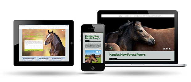 Kantjes Newforest Ponies&nbsp; by Webdesign Maastricht