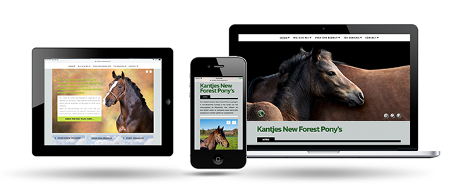 Kantjes Newforest Ponies  by Webdesign Maastricht
