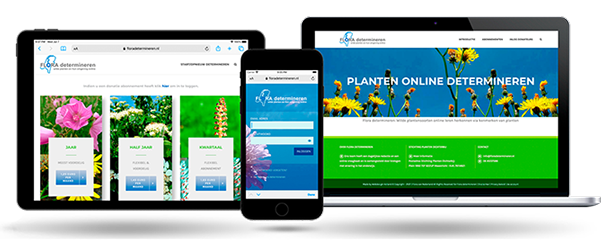 Flora van Nederland determineren by webdesign Holland