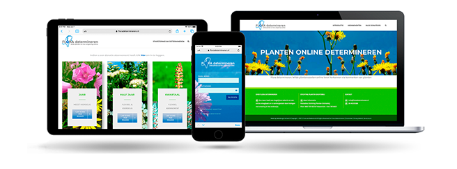 Flora van Nederland determineren by webdesign Holland