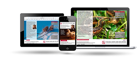 Fiscaalburo by Webdesign Maastricht